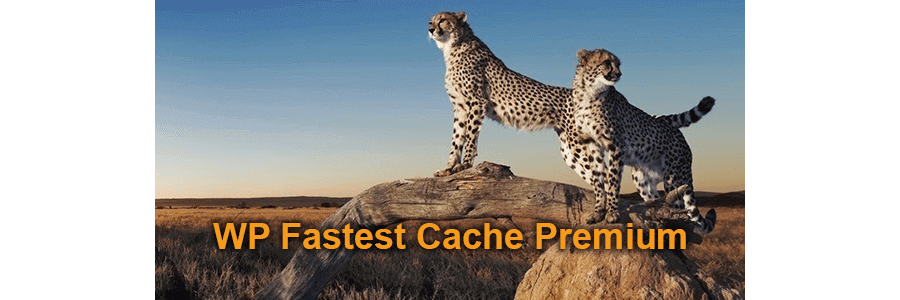 WP Fastest Cache Premium v1.5.9